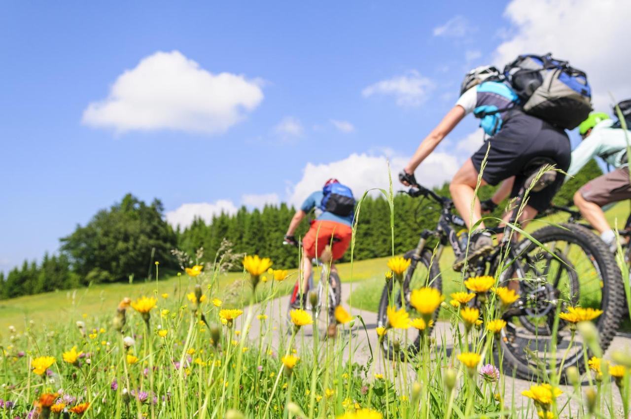 ลันด์โฮเต็ล เฮียร์เชิน Hotel Oberwolfach ภายนอก รูปภาพ